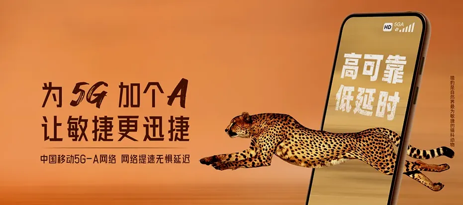 庄河市庄河市吴炉镇 移动宽带