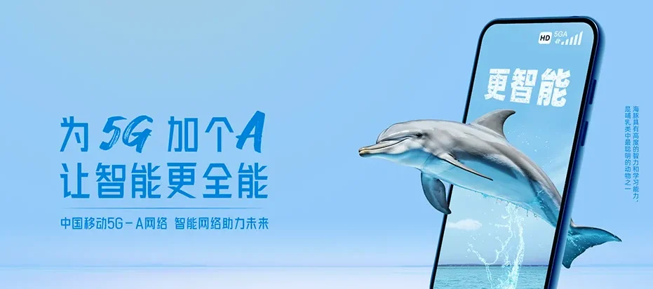 庄河市庄河市塔岭镇 移动宽带